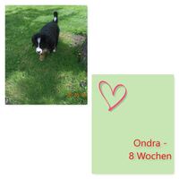 Ondra_8