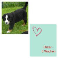 Oskar_8